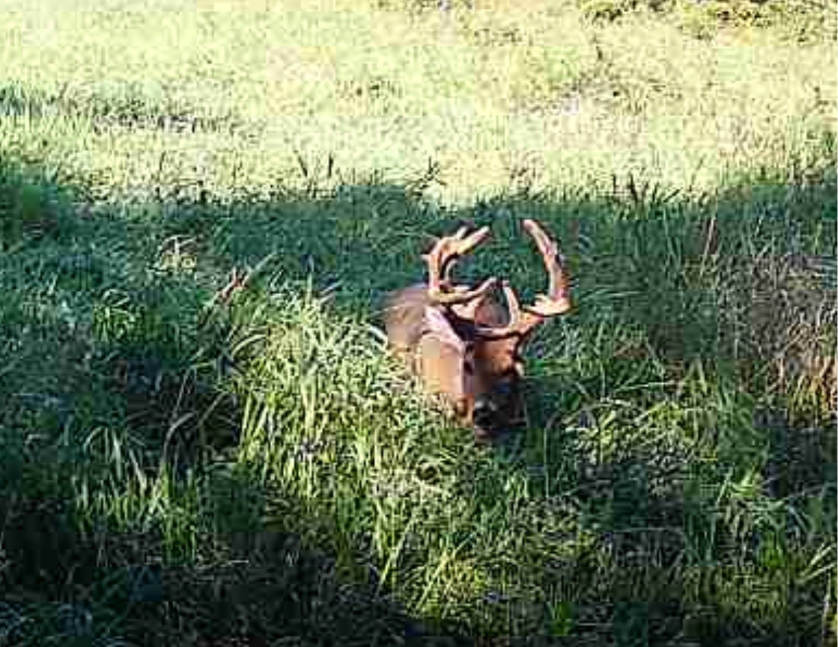 Listing Photo: Wayne County, Iowa Land Listing - 3